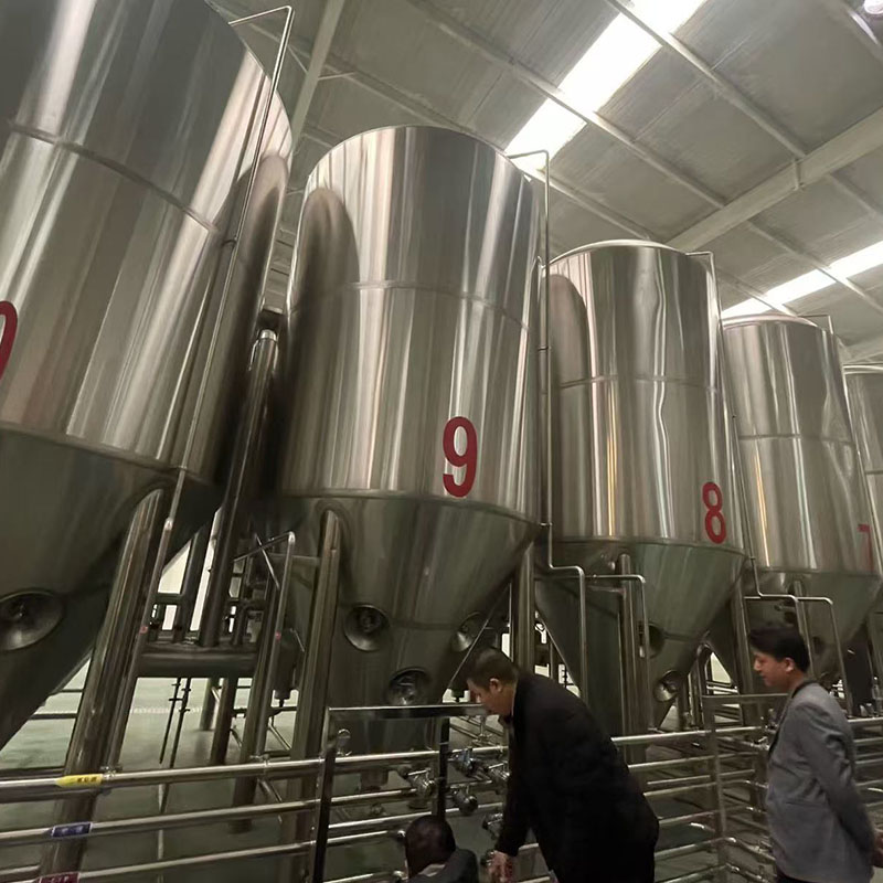 陆河精酿啤酒设备